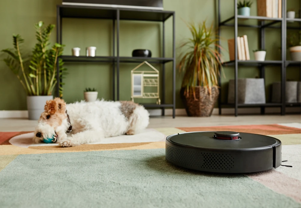 self cleaning robot vacuum